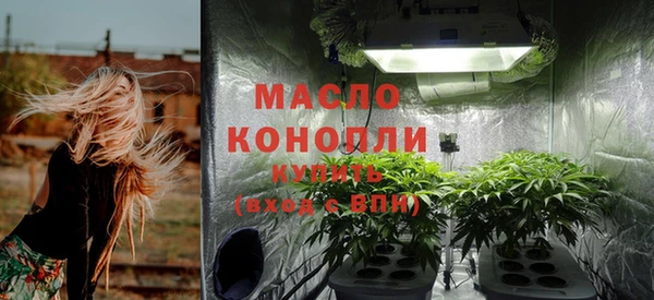 меф Вяземский