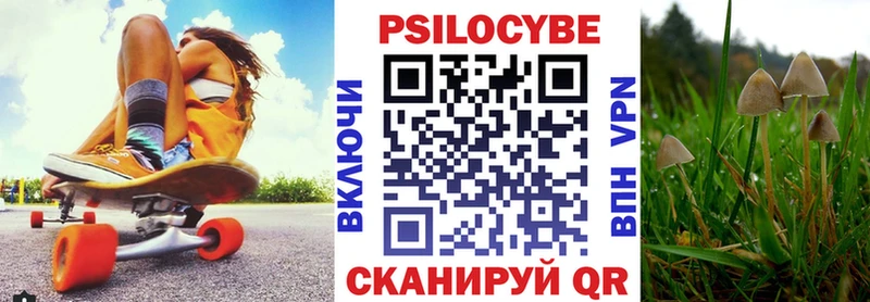 купить  сайты  Мценск  Галлюциногенные грибы GOLDEN TEACHER 