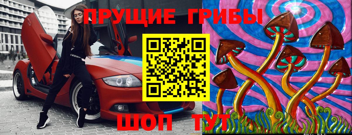 Псилоцибиновые грибы Psilocybe Мценск