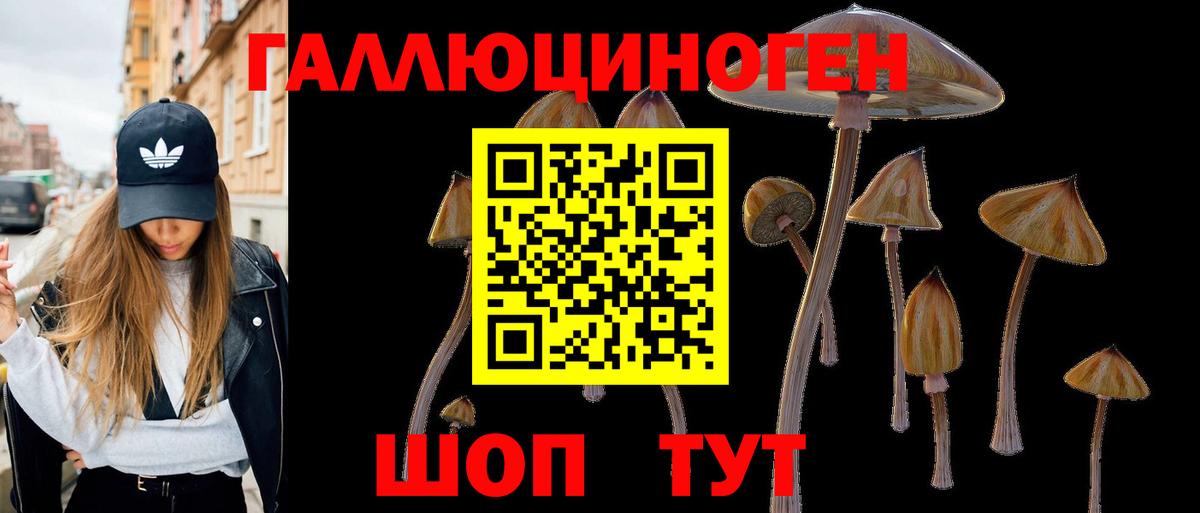 Галлюциногенные грибы GOLDEN TEACHER  Псилоцибиновые грибы Psilocybe  Мценск 